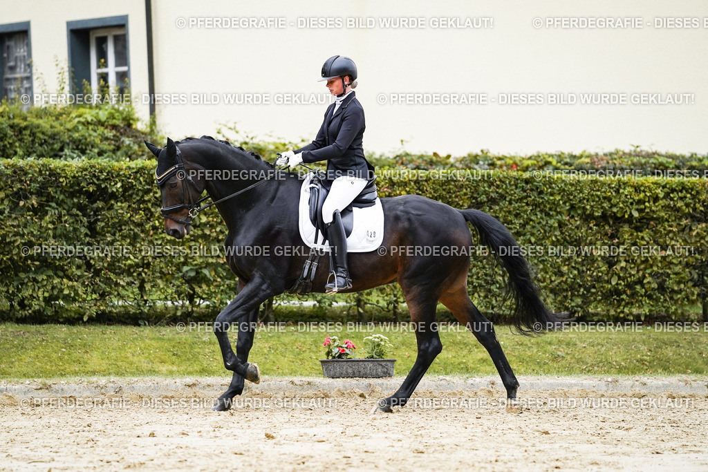 DSC07186 | Pferdegrafie