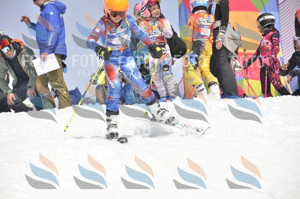 _ELE8909 | holidayphoto