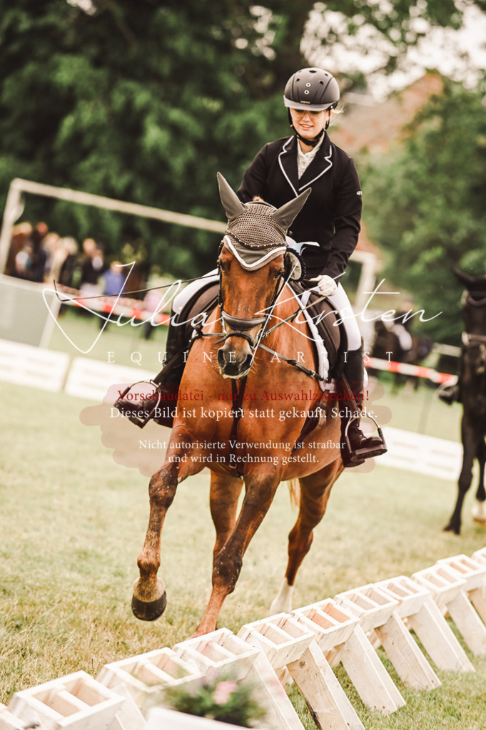 DSC_5171 | Pferde- und Turnierfotografie in Westsachsen. Pferdeportraits, Auftragszeichnungen und intuitive Kunst.