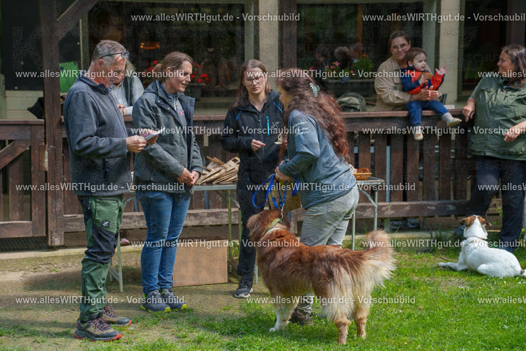 @allesWIRTHgut_Tierfotografie - www.allesWIRTHgut.de - 7R506112 | Professionelle Tierfotografie in Mönchengladbach von Daniel Wirth (allesWIRTHgut). Liebevolle & natürliche Bilder von Hunden & Katzen für unvergessliche Erinnerungen.