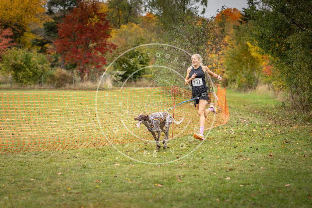 Pfotenfotografie_DV3A4475 | Hundefotografie, Tierfotograf, Pfotenfotografie, Fotoshooting Hund, Hunde Portrait, Hundesport, Hundeportraits, Heideshooting, Hunde, Sportfotograf, Hundefotograf, Turnierhundsport, THS,  - Realisiert mit Pictrs.com