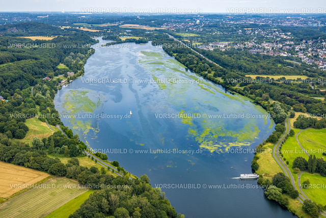 Bochum240711124KemnaderSee | Luftbild, Kemnader Stausee mit Elodea, Wasserpest, Algenblüte, Segelboote und Stand-Up Paddeler, Bochum, Nordrhein-Westfalen, Deutschland