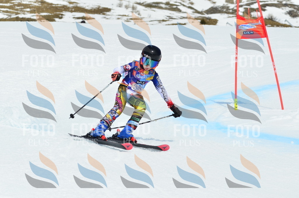 _ELE2304 | holidayphoto