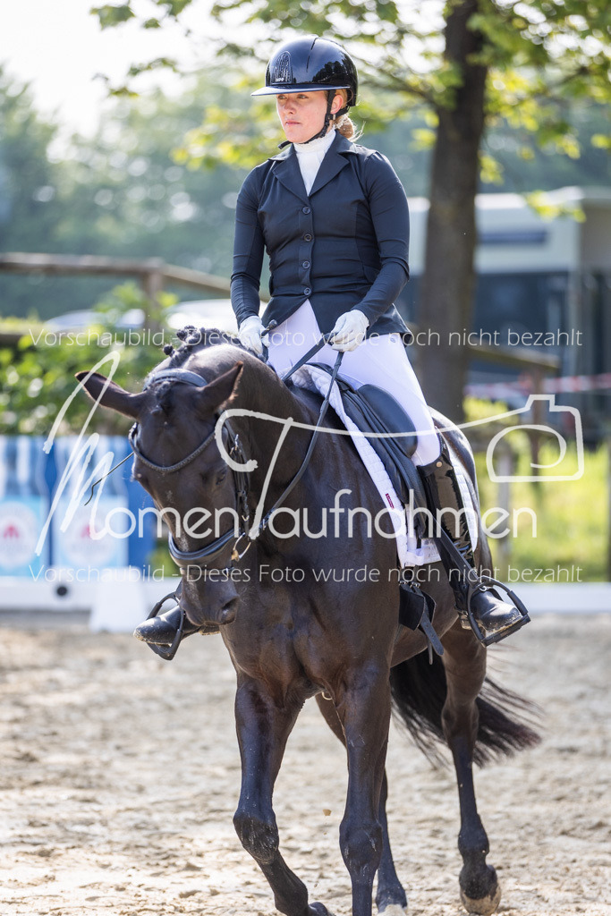 Donop24-A2-Dre-024 | MomenTaufnahmen Pferdesportfotos