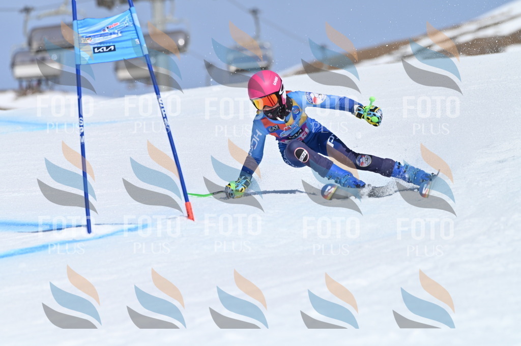 BGV_0035 | holidayphoto