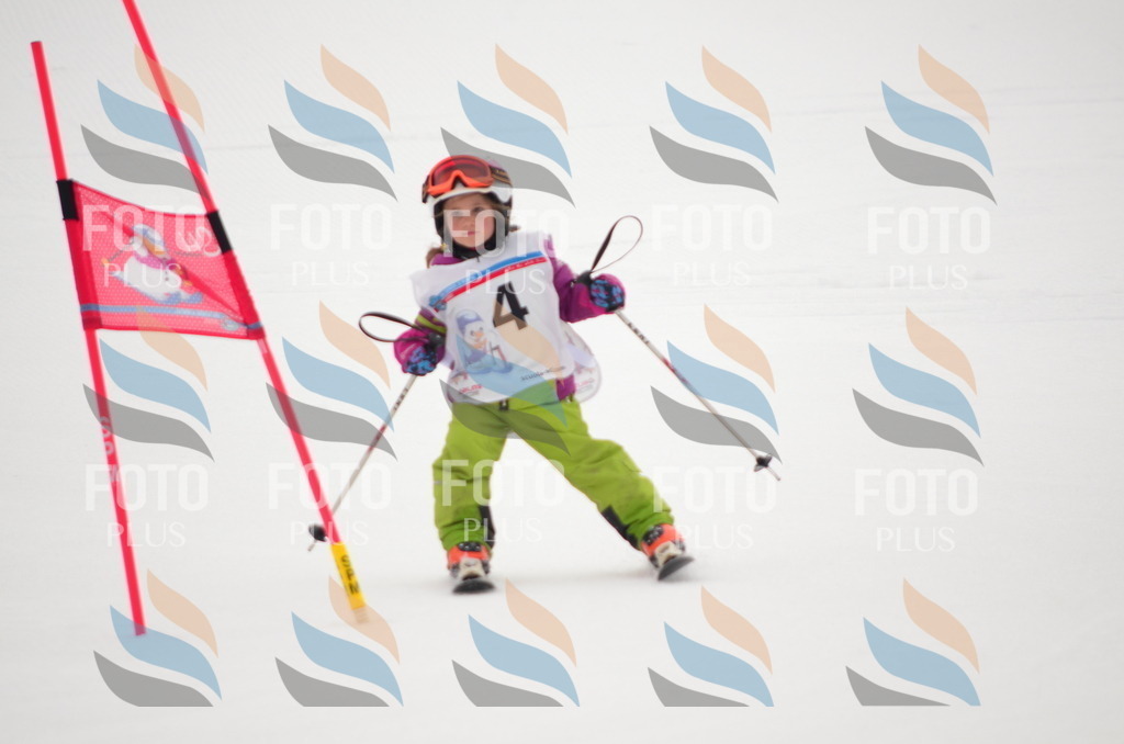 B9338 | holidayphoto