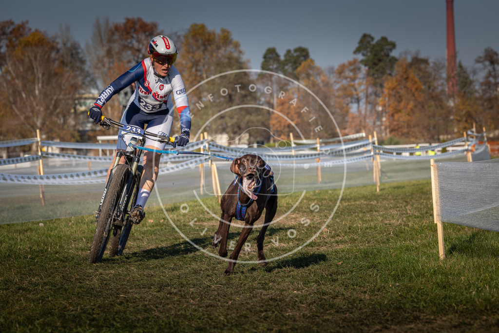CaniXpix_0L8A6097 | Hundefotografie, Tierfotograf, Pfotenfotografie, Fotoshooting Hund, Hunde Portrait, Hundesport, Hundeportraits, Heideshooting, Hunde, Sportfotograf, Hundefotograf, Turnierhundsport, THS,  - Realisiert mit Pictrs.com
