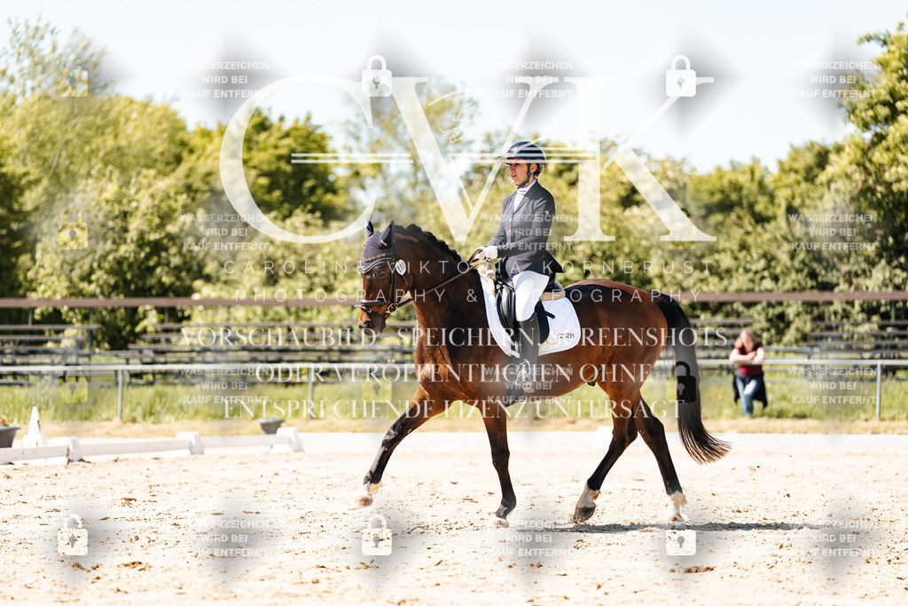 CK905614 | Turnierfotografie Pferdefotografie Trier Rheinland-Pfalz Pferdesport Reitsport Tierfotografie Sportfotografie Pferdevideo Pferdevideografie Equestrianvideography equestrianphotography  - Realisiert mit Pictrs.com