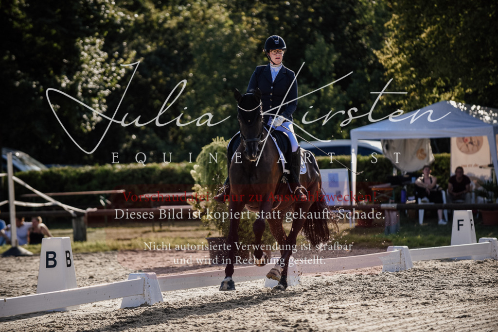 DSC_0567 | Pferde- und Turnierfotografie in Westsachsen. Pferdeportraits, Auftragszeichnungen und intuitive Kunst.