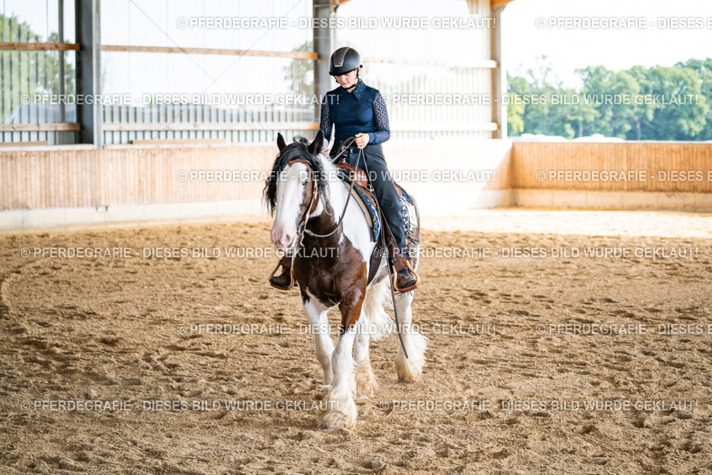 DSC08422 | Pferdegrafie