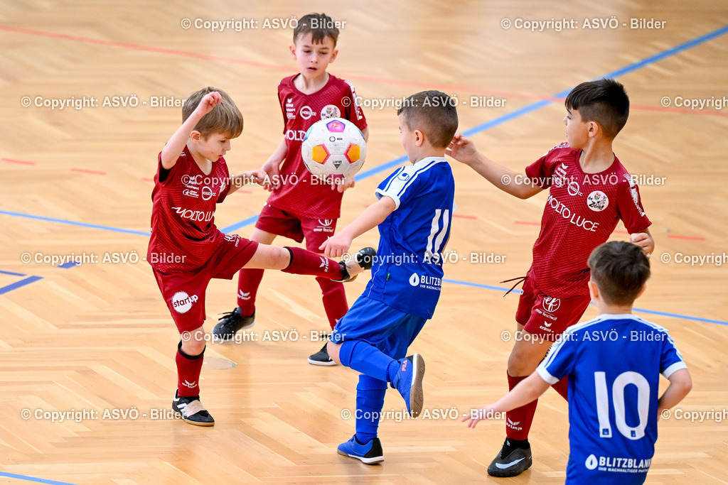 ASVÖ_ Fussball Nachwuchs Hallenturnier 2026_ SV Gallneukirchen_ 28.02.2026-252 | 28.02.2026, Gallneukirchen, AUT, ASVÖ, Fussball Nachwuchs Hallenturnier 2026, SV Gallneukirchen im Bild Teilnehmer U7©Harald Dostal / fodo.media - Realisiert mit Pictrs.com