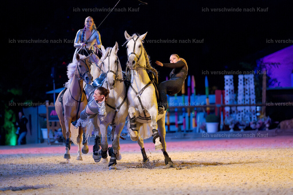 Gala-365 | working equitationturnier fotograf videograf stoibphotography marixx film working equitation deutschland reitsport turnierfotografie eventfotografie equestrian events