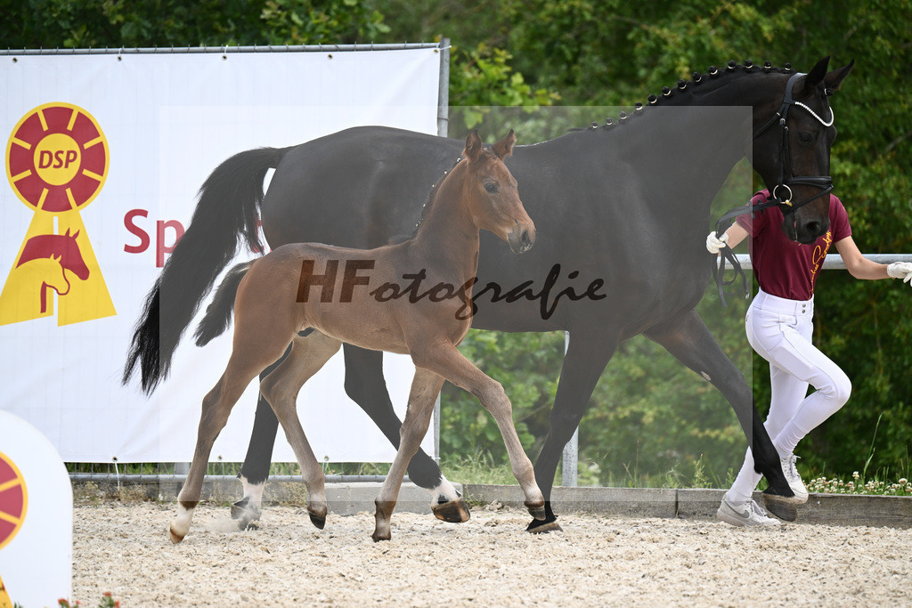 Va Bene x Fidertanz_HF_Koller_20240888 | hf-fotografie - Realizzato con Pictrs.com