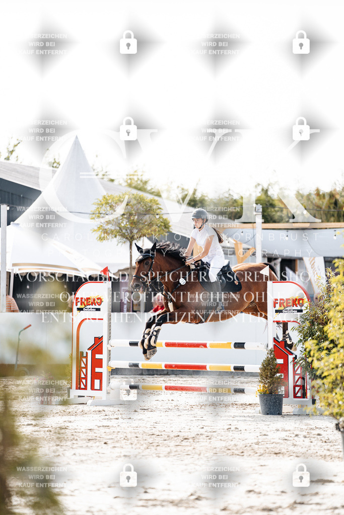 CK905885 | Turnierfotografie Pferdefotografie Trier Rheinland-Pfalz Pferdesport Reitsport Tierfotografie Sportfotografie Pferdevideo Pferdevideografie Equestrianvideography equestrianphotography  - Realisiert mit Pictrs.com