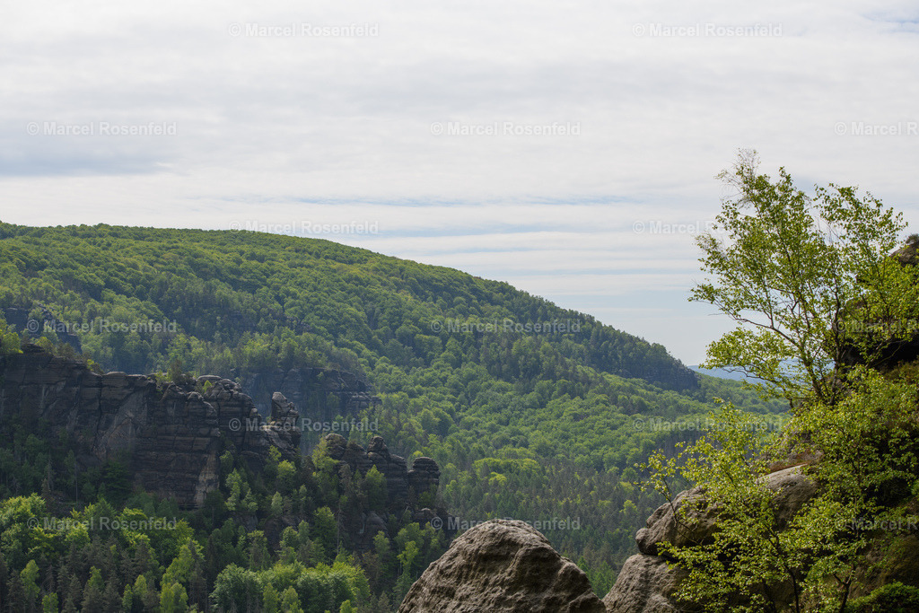 _DSC4937 | foto-rosenfeld