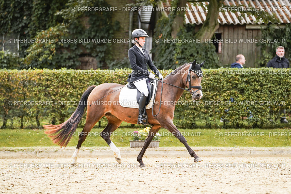 DSC01064 | Pferdegrafie