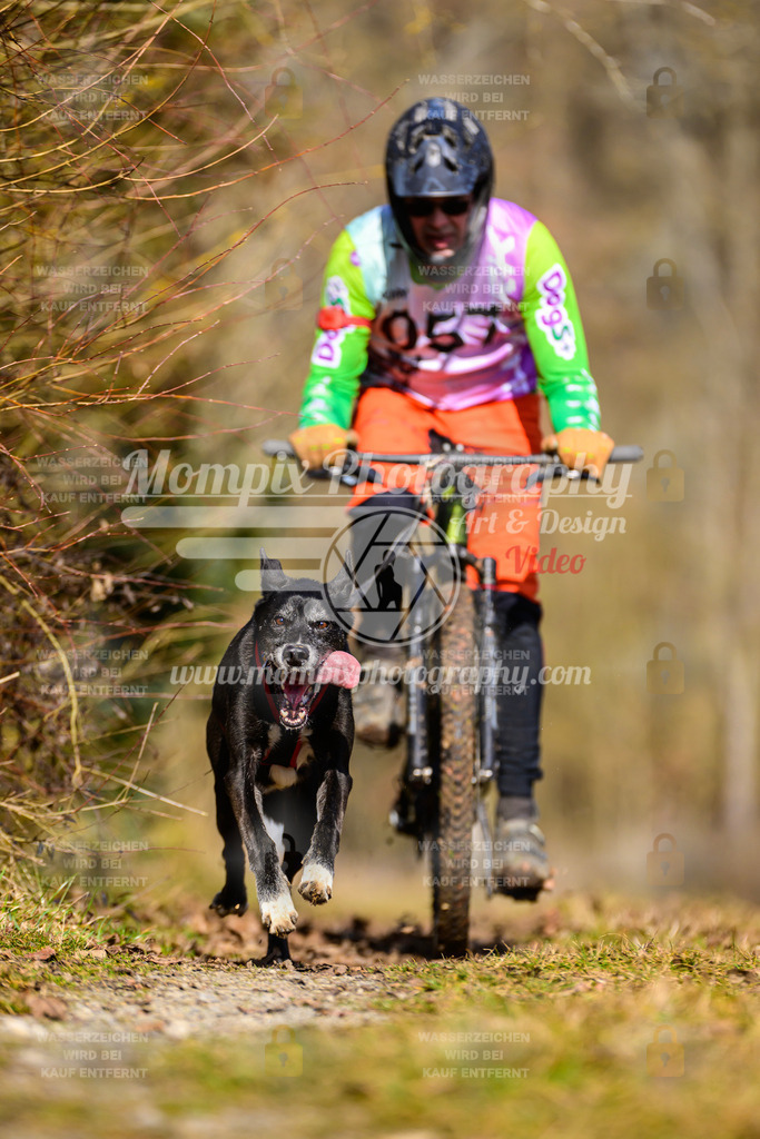 MompixPhotography_Schwabentrail2025_SO_Bike-98 | PayLife