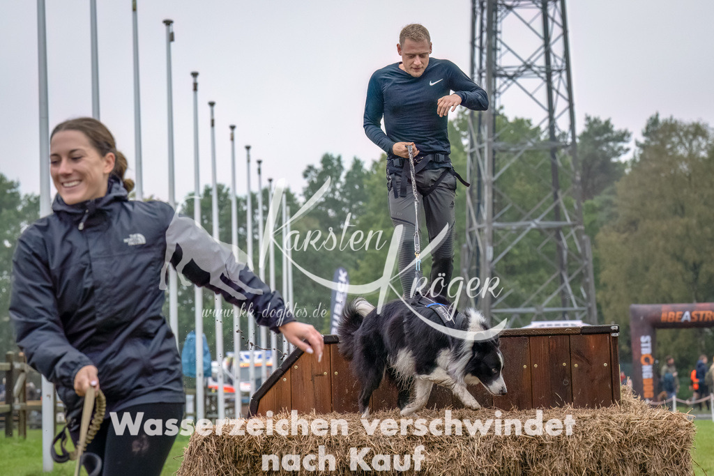 1224--15 | kk-dogfotos
