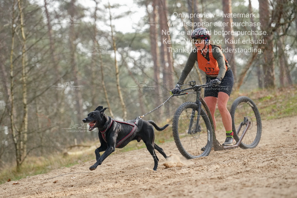 Scooter2-5 | stephaniefillaphotographie - Realisiert mit Pictrs.com