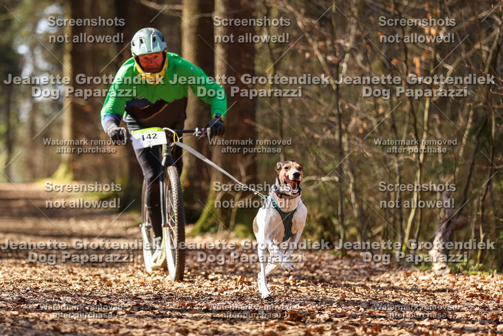 Dog Paparazzi - VCC26-1251 | Dog Paparazzi Jeanette Grottendiek Fotografie & Videografie - Realisiert mit Pictrs.com