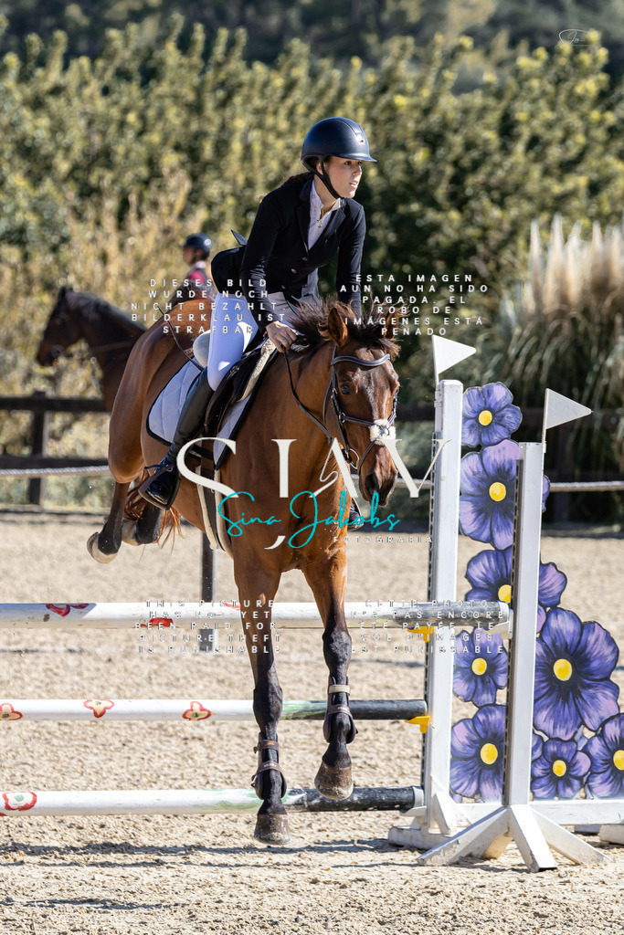 IMG_6505 | s-jay-photography - Realisiert mit Pictrs.com