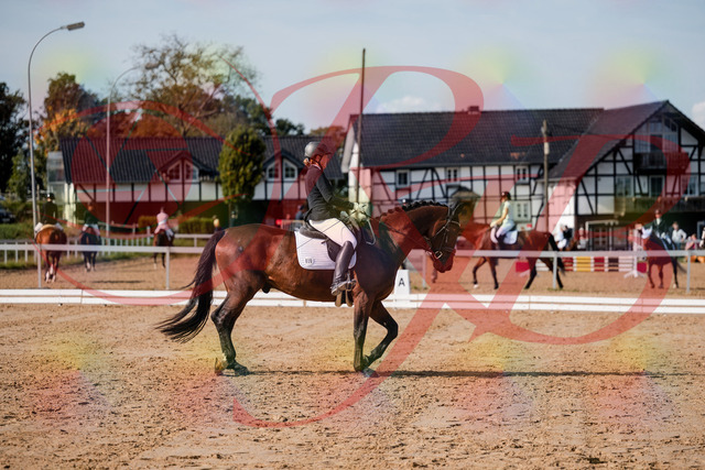 2026_10_03_Siefer-Hof_122835_Z63_48817137 | Professionelle Reitsport-, Turnier- und Eventfotografie von Robert Broda. Galerien mit ausgewählten und bearbeiteten Bildern direkt online ansehen und bestellen.