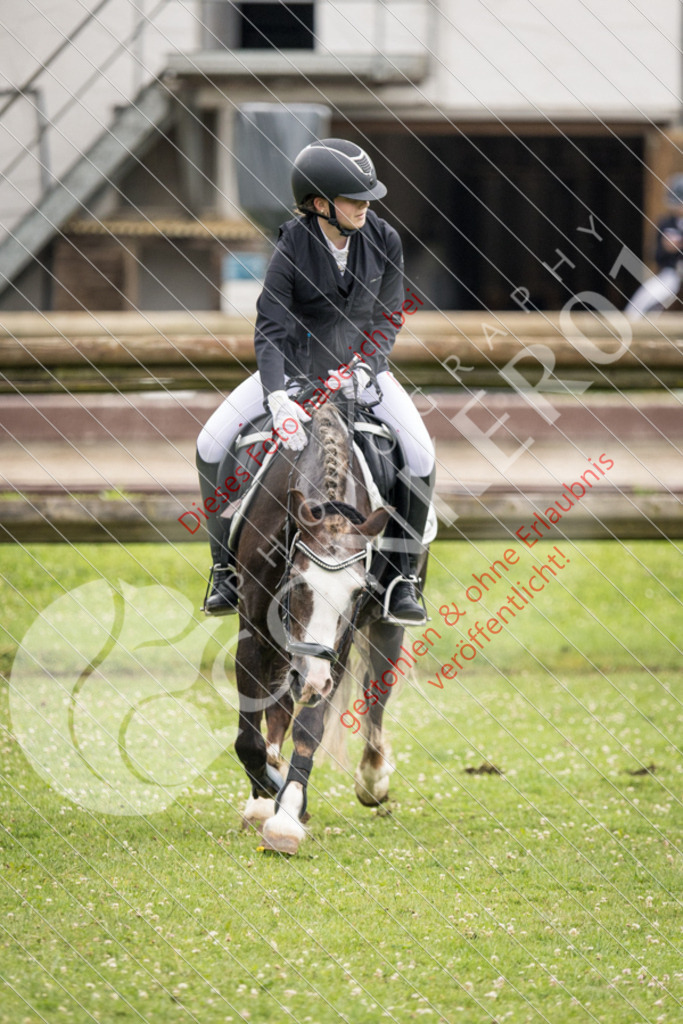 IMG_2747 | Sport-, Event- und Tierfotos in Profiqualität. Einfach auswählen, bestellen und herunterladen. Dein Moment – perfekt festgehalten.
