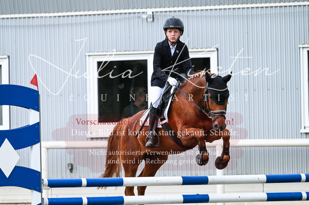 DSC_9071 | Pferde- und Turnierfotografie in Westsachsen. Pferdeportraits, Auftragszeichnungen und intuitive Kunst.