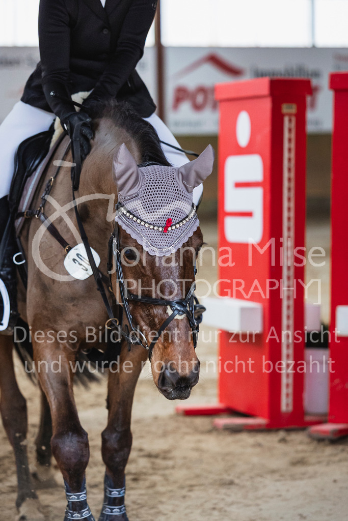 260321_HF-Schw_L-SprmstAnf-113 | Deine schönsten Turniermomente als professionelle Fotos! Entdecke hochwertige Pferdesport-Fotografie im Online-Shop. Jetzt Fotos finden & bestellen!