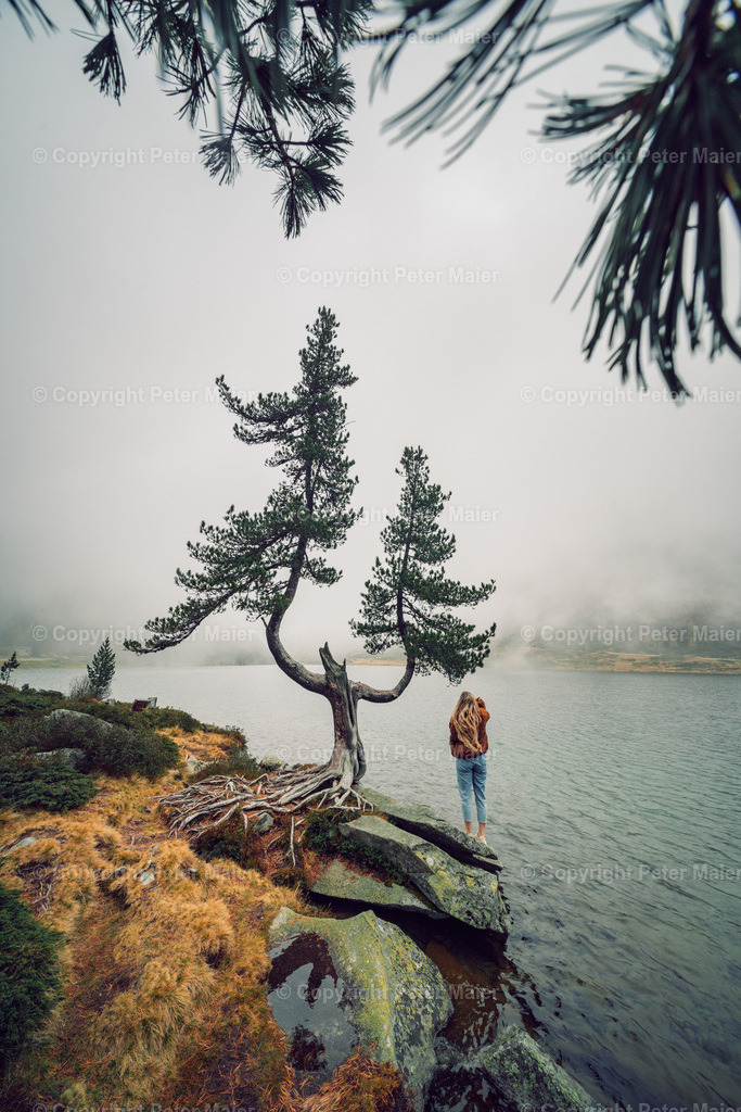 Defereggental_Herbst_2024-725 | piet_flosse
