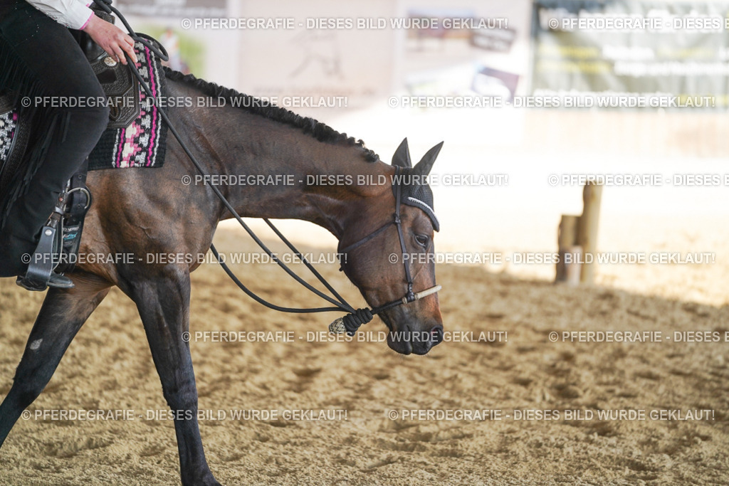 DSC09460 | Pferdegrafie