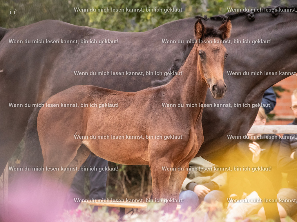 A10I6035 | photographylinaismer - Realisiert mit Pictrs.com