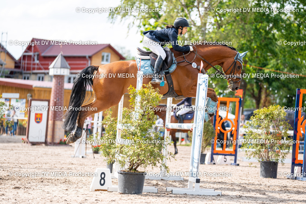 Eppelheim Tag 2-627 | dv-media-shop - Realisiert mit Pictrs.com