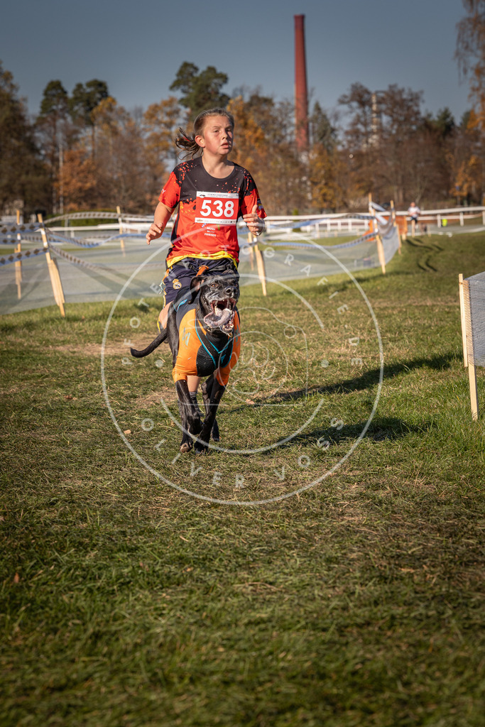 CaniXpix_0L8A7537 | Hundefotografie, Tierfotograf, Pfotenfotografie, Fotoshooting Hund, Hunde Portrait, Hundesport, Hundeportraits, Heideshooting, Hunde, Sportfotograf, Hundefotograf, Turnierhundsport, THS,  - Realisiert mit Pictrs.com
