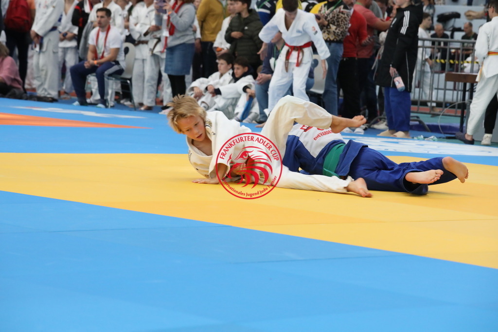 1J7A2306 | Fotos vom Adler Cup - Pictures from Adler Cup

Hier findet Ihr alle Eindrücke und großen Momente der Adler Cup Wochenenden. Here you will find all impressions and great moments of the Adler Cup weekends. - Realisiert mit Pictrs.com