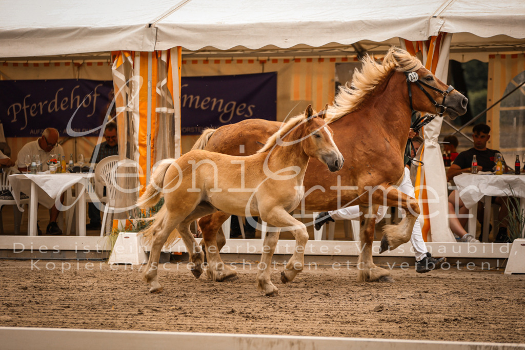 SaSF00107 | Leoni Ertmer Photography - Realisiert mit Pictrs.com