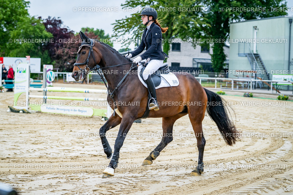 DSC01133 | Pferdegrafie