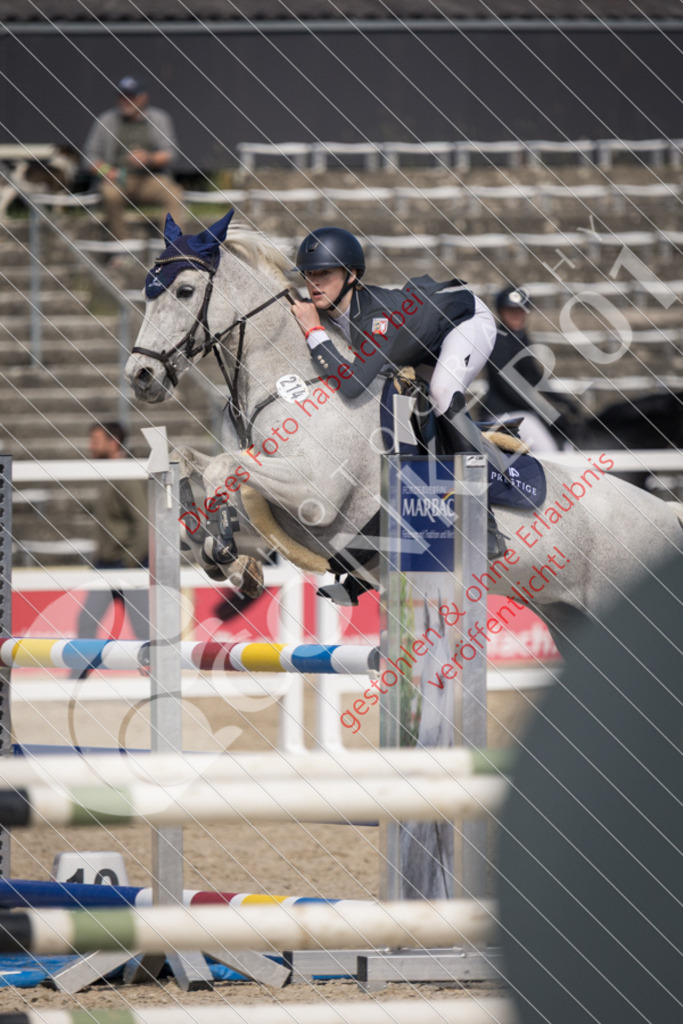 IMG_4667 | Sport-, Event- und Tierfotos in Profiqualität. Einfach auswählen, bestellen und herunterladen. Dein Moment – perfekt festgehalten.