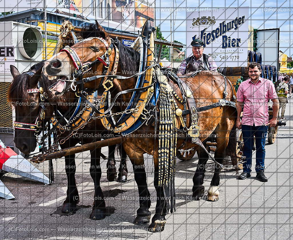 ALP9046_MESSE_LAND-FORST-JAGD_Wieselburger Bierwagen | (C)FotoLois.com, Alois Spandl, WIESELBURGER MESSE LAND-FORST-JAGD, Eröffnung mit Messerundgang mit BM Norbert Totschnig, LH Johanna Mickl-Leitner, LH-Stv. Stephan Pernkopf, LLK Johannes Schmuckenschlager, GF Marion Heim, Hannes Heindl, Bgm. Josef Leitner, Bgm. Franz Rafetseder, ..., Do 6. Juni 2024.
