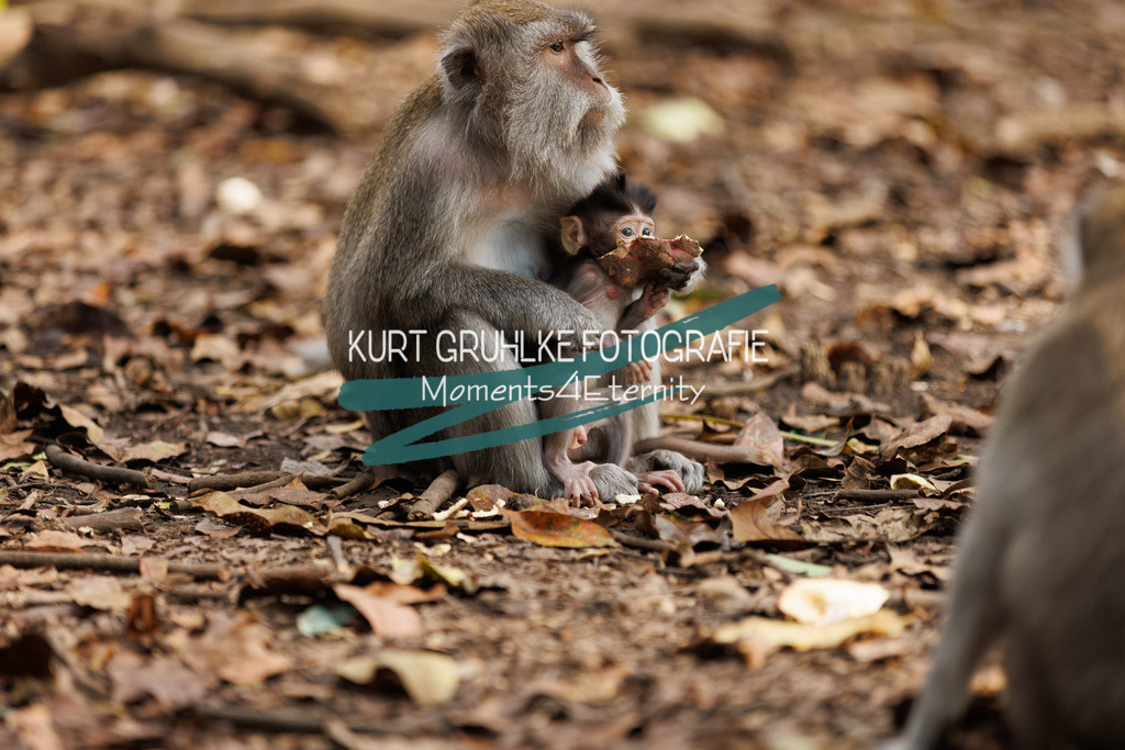 230718-0246 | onlinegalerie und Fotoshop Kurt Gruhlke Fotograf Berlin
Hochzeitsfotograf Eventfotograf Portraitfotografie
 - Realisiert mit Pictrs.com