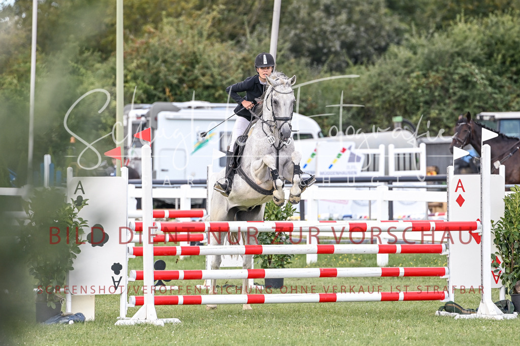 Schugtsche-Düren.2024-08.Amat.Springprf.L-128 | Schugtsche Fotografie - Realisiert mit Pictrs.com