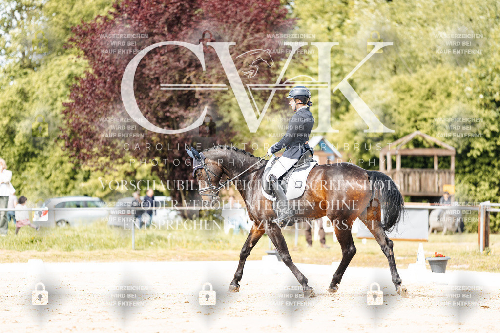 CK901155 | Turnierfotografie Pferdefotografie Trier Rheinland-Pfalz Pferdesport Reitsport Tierfotografie Sportfotografie Pferdevideo Pferdevideografie Equestrianvideography equestrianphotography  - Realisiert mit Pictrs.com