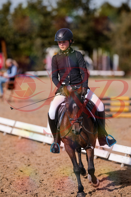 2026_10_03_Siefer-Hof_121005_Z81_11873328 | Professionelle Reitsport-, Turnier- und Eventfotografie von Robert Broda. Galerien mit ausgewählten und bearbeiteten Bildern direkt online ansehen und bestellen.