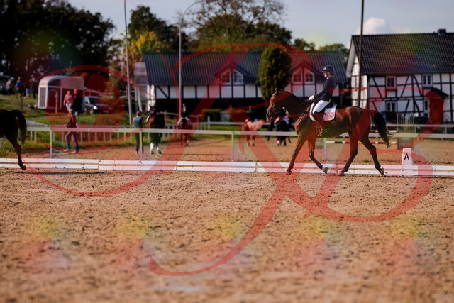 2026_10_03_Siefer-Hof_130852_Z81_62208361 | Professionelle Reitsport-, Turnier- und Eventfotografie von Robert Broda. Galerien mit ausgewählten und bearbeiteten Bildern direkt online ansehen und bestellen.