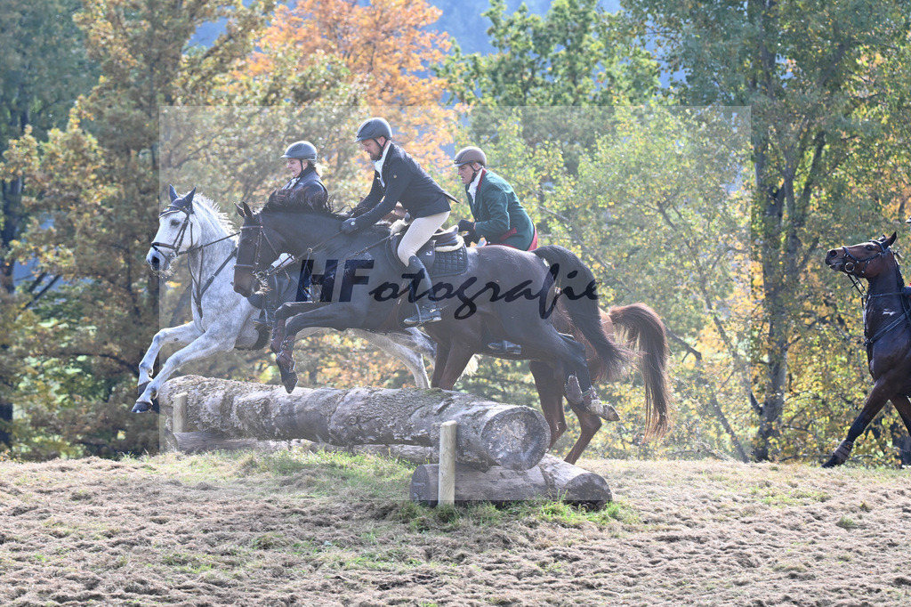 40250271 | hf-fotografie - Realizzato con Pictrs.com
