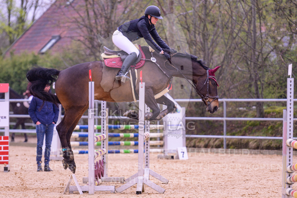 12042026-Mammendorf-Prfg38-0147 | Fokus Hufschlag Fotografie - Realisiert mit Pictrs.com