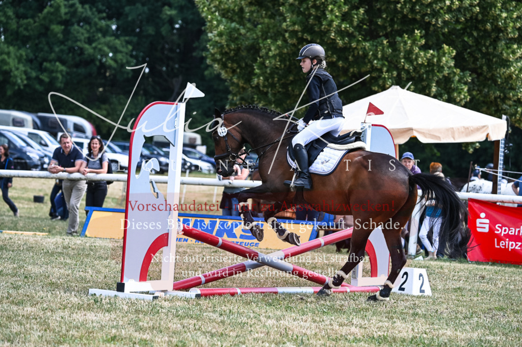 DSC_9641 | Pferde- und Turnierfotografie in Westsachsen. Pferdeportraits, Auftragszeichnungen und intuitive Kunst.