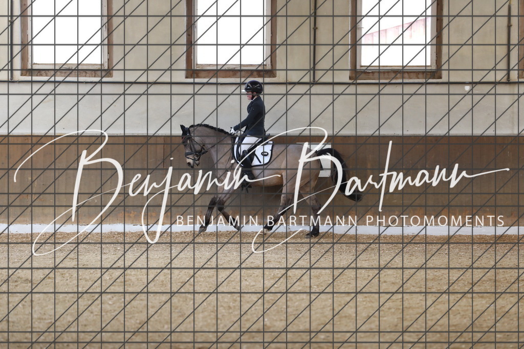 AZ2A8206 | Benjamin Bartmann Photomoments