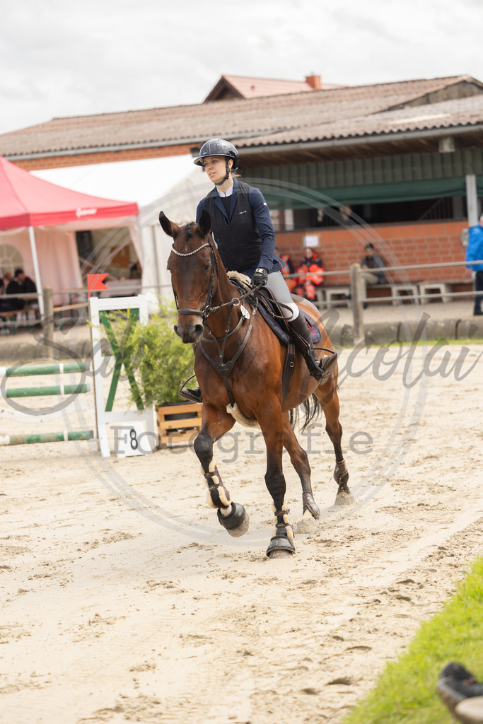 994A9385 | sabrinanicolaifotografie - Realisiert mit Pictrs.com