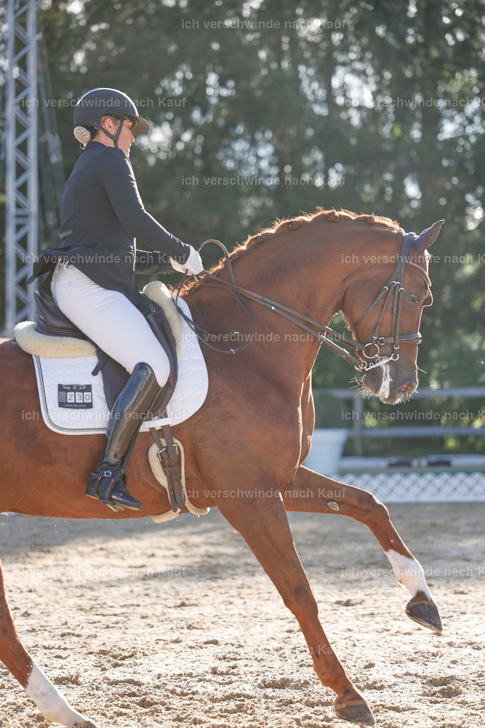 09_1-230-DRESSUR  S_  -StoibPH-5548 | working equitationturnier fotograf videograf stoibphotography marixx film working equitation deutschland reitsport turnierfotografie eventfotografie equestrian events
